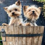 Lolo & Cristian Lolo & Cristian