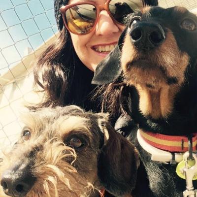 Perro con Lady y Mina